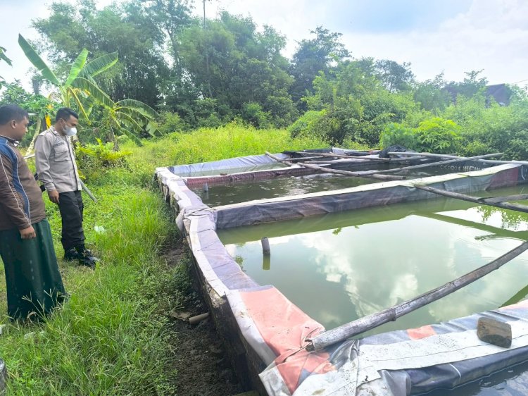 Polsek Tarik Dampingi Warga Kedungbocok Budidaya Ikan Lele